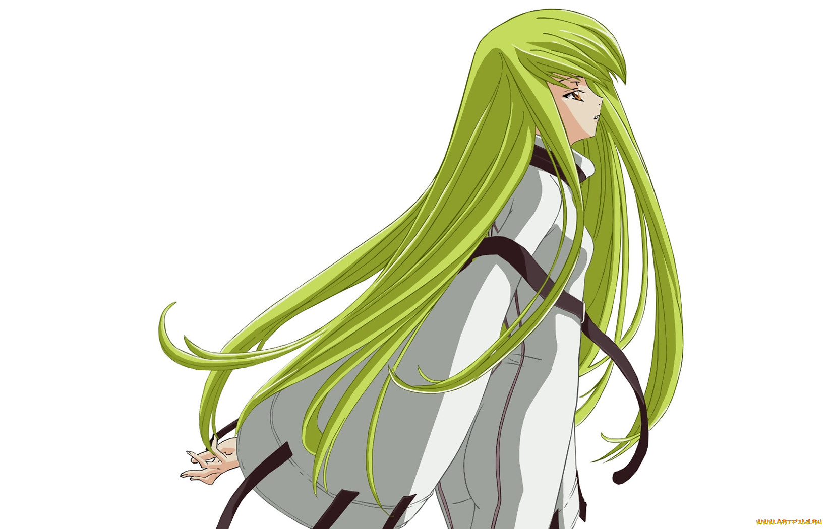 , code, geass
